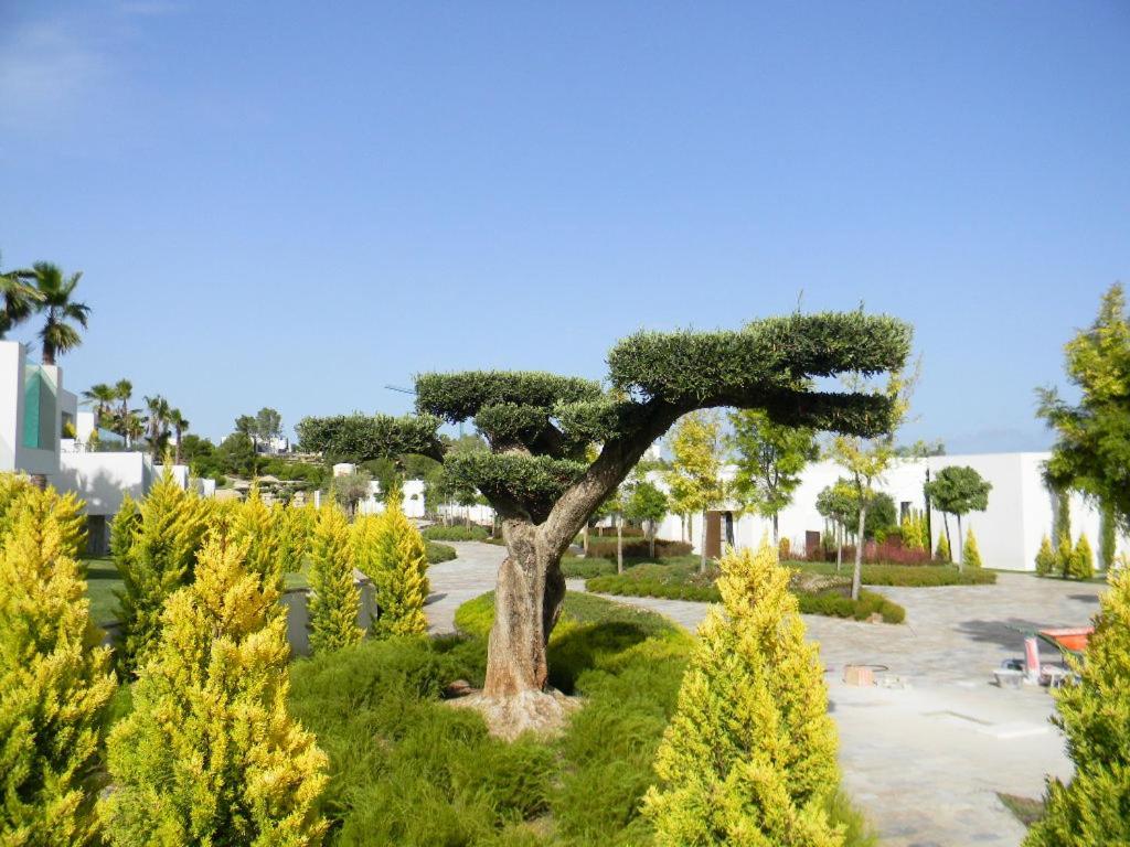Limonero 17, Golf Club In Las Colinas Dehesa de Campoamor  Exteriér fotografie